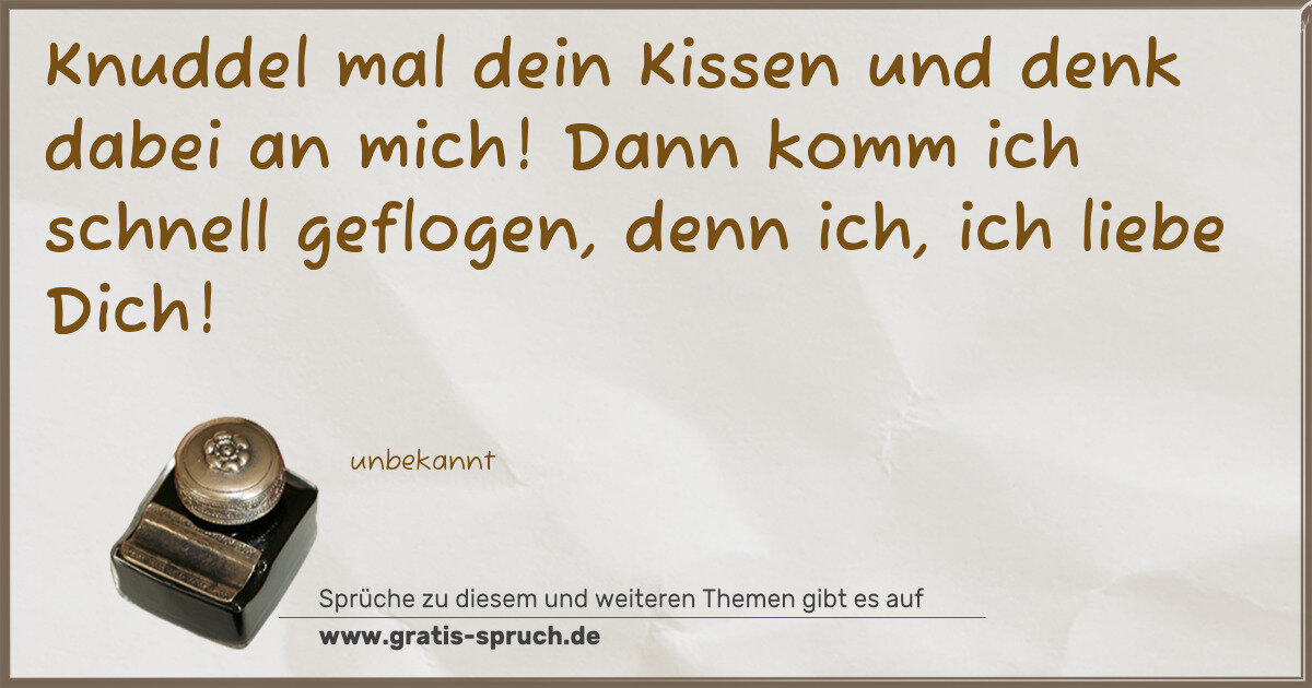 Spruchbild: Knuddel mal dein Kissen und denk dabei an mich! Dann komm ich schnell geflogen, denn ich, …
