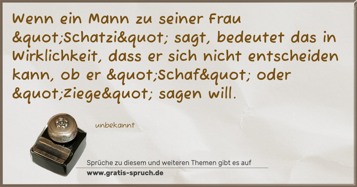 Spruchbild: Wenn ein Mann zu seiner Frau "Schatzi" sagt, bedeutet das in Wirklichkeit, dass …