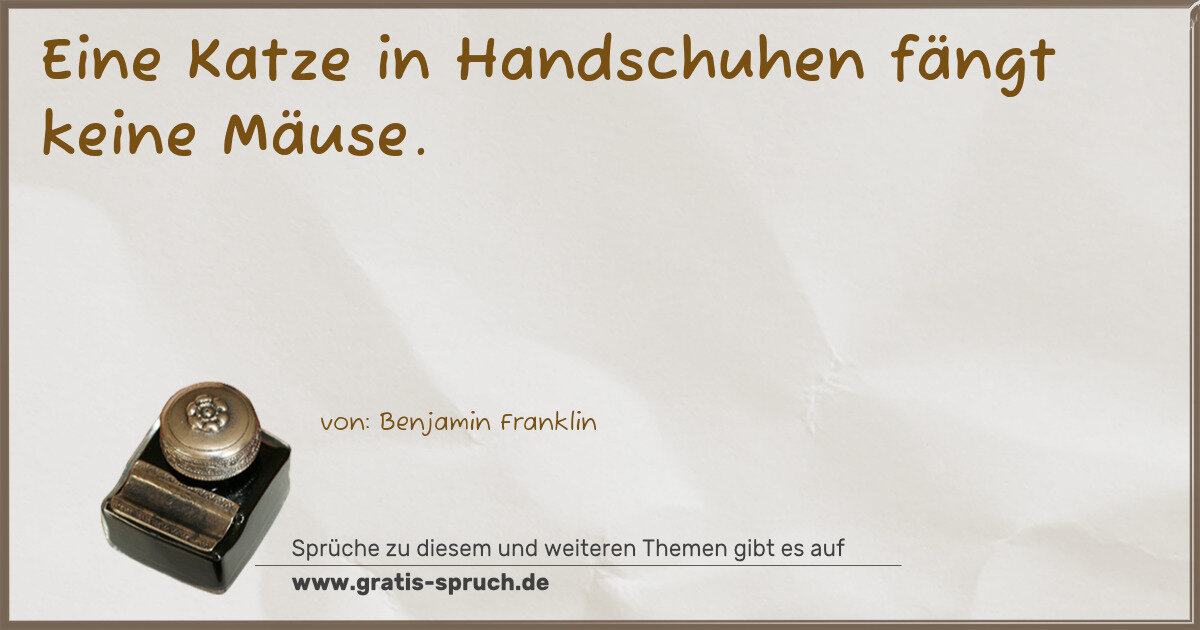 Spruchbild: Eine Katze in Handschuhen fängt keine Mäuse.