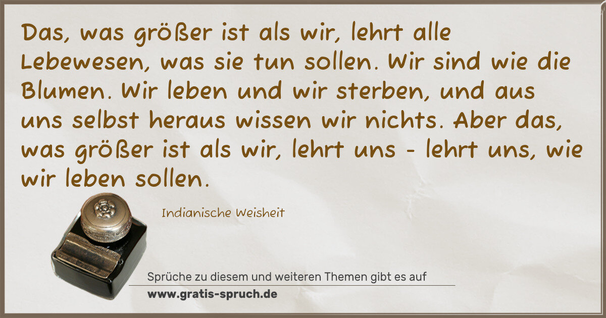 Spruchbild: Das, was größer ist als wir, lehrt alle Lebewesen, was sie tun sollen. Wir sind wie die Bl …