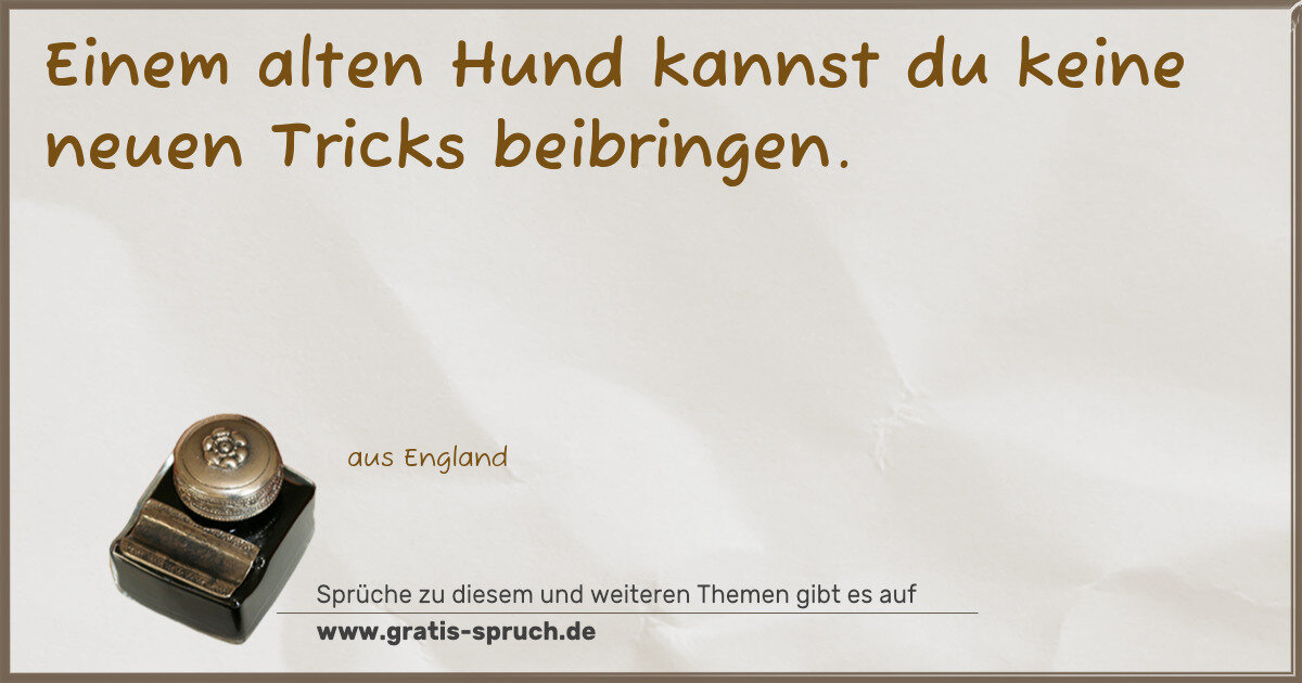 Spruchbild: Einem alten Hund kannst du keine neuen Tricks beibringen.