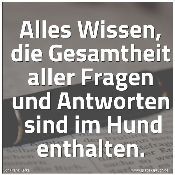 Quadratisches Spruchbild: Alles Wissen, die Gesamtheit aller Fragen und Antworten sind im Hund enthalten.