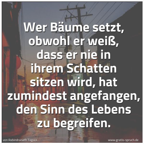 Quadratisches Spruchbild: Wer Bäume setzt, obwohl er weiß, dass er nie in ihrem Schatten sitzen wird, hat zumindest …