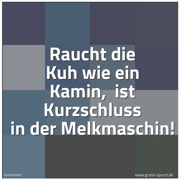 Quadratisches Spruchbild: Raucht die Kuh wie ein Kamin, ist Kurzschluss in der Melkmaschin!