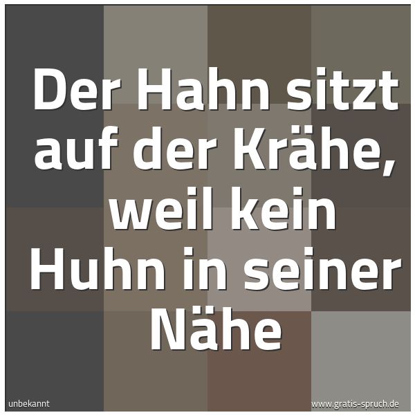 Quadratisches Spruchbild: Der Hahn sitzt auf der Krähe,  weil kein Huhn in seiner Nähe