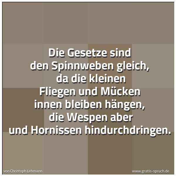 Quadratisches Spruchbild: Die Gesetze sind den Spinnweben gleich,  da die kleinen Fliegen und Mücken innen bleiben h …