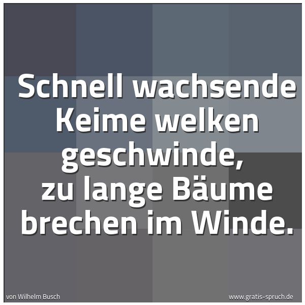 Quadratisches Spruchbild: Schnell wachsende Keime welken geschwinde, zu lange Bäume brechen im Winde.