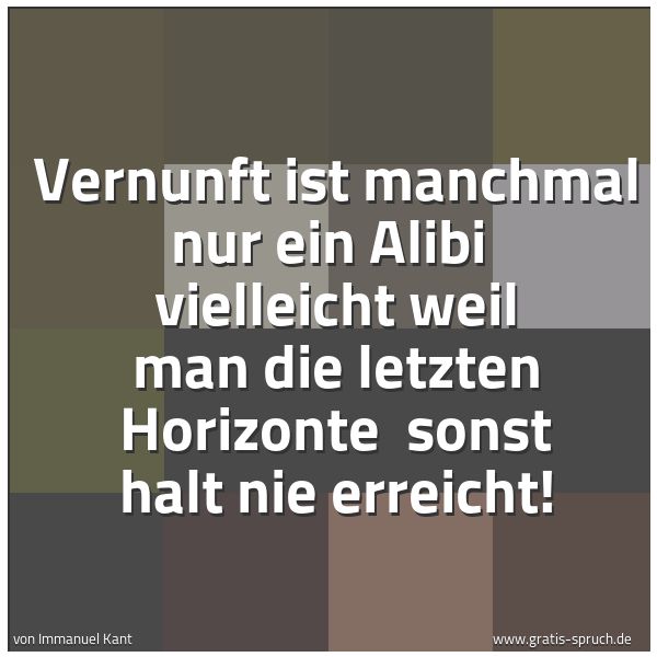 Quadratisches Spruchbild: Vernunft ist manchmal nur ein Alibi vielleicht weil man die letzten Horizonte sonst halt …