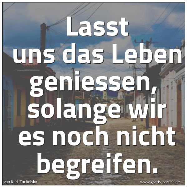 Quadratisches Spruchbild: Lasst uns das Leben geniessen,  solange wir es noch nicht begreifen.