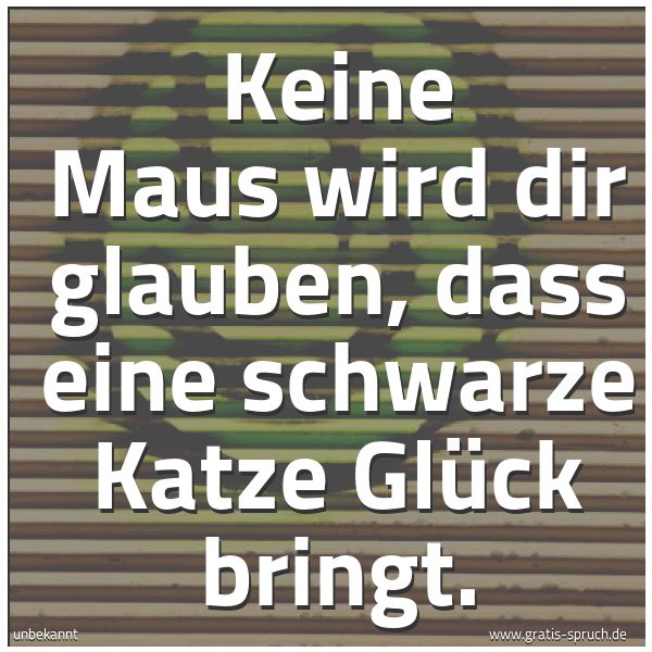 Quadratisches Spruchbild: Keine Maus wird dir glauben, dass eine schwarze Katze Glück bringt.