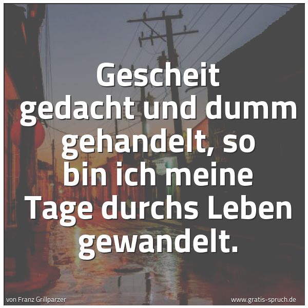 Quadratisches Spruchbild: Gescheit gedacht und dumm gehandelt, so bin ich meine Tage durchs Leben gewandelt.