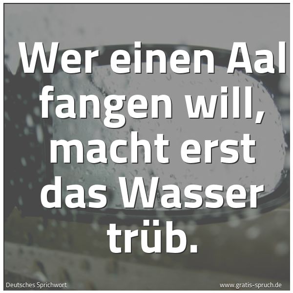 Quadratisches Spruchbild: Wer einen Aal fangen will, macht erst das Wasser trüb.