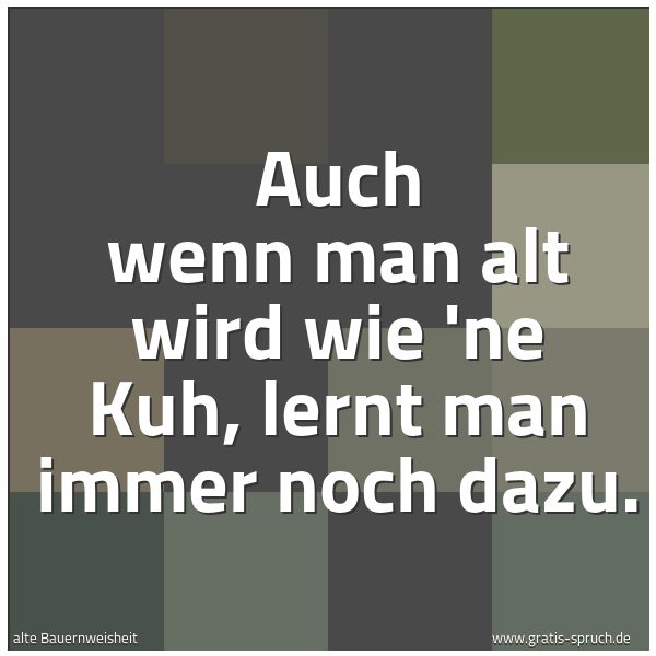 Quadratisches Spruchbild: Auch wenn man alt wird wie 'ne Kuh, lernt man immer noch dazu.
