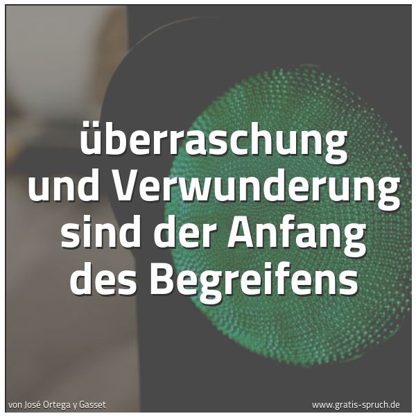 Quadratisches Spruchbild: Überraschung und Verwunderung sind der Anfang des Begreifens