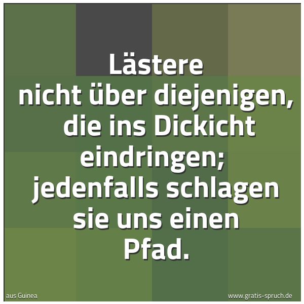 Quadratisches Spruchbild: Lästere nicht über diejenigen, die ins Dickicht eindringen; jedenfalls schlagen sie uns …
