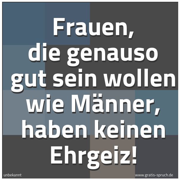 Quadratisches Spruchbild: Frauen, die genauso gut sein wollen wie Männer, haben keinen Ehrgeiz!
