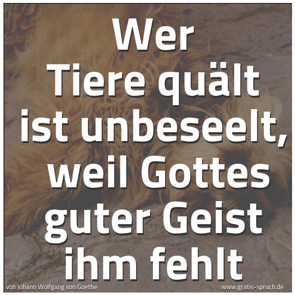 Quadratisches Spruchbild: Wer Tiere quält ist unbeseelt, weil Gottes guter Geist ihm fehlt
