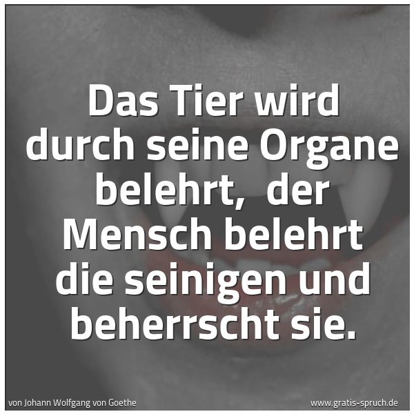 Quadratisches Spruchbild: Das Tier wird durch seine Organe belehrt, der Mensch belehrt die seinigen und beherrscht …