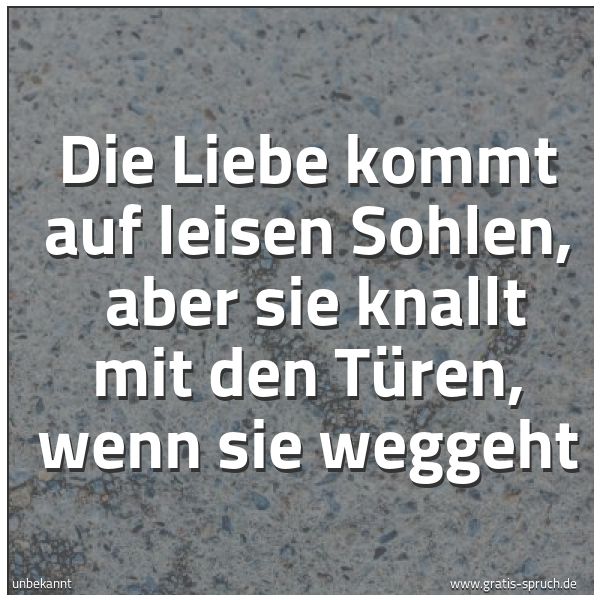 Quadratisches Spruchbild: Die Liebe kommt auf leisen Sohlen, aber sie knallt mit den Türen, wenn sie weggeht