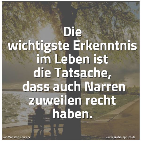 Quadratisches Spruchbild: Die wichtigste Erkenntnis im Leben ist die Tatsache, dass auch Narren zuweilen recht habe …
