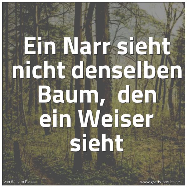 Quadratisches Spruchbild: Ein Narr sieht nicht denselben Baum,  den ein Weiser sieht