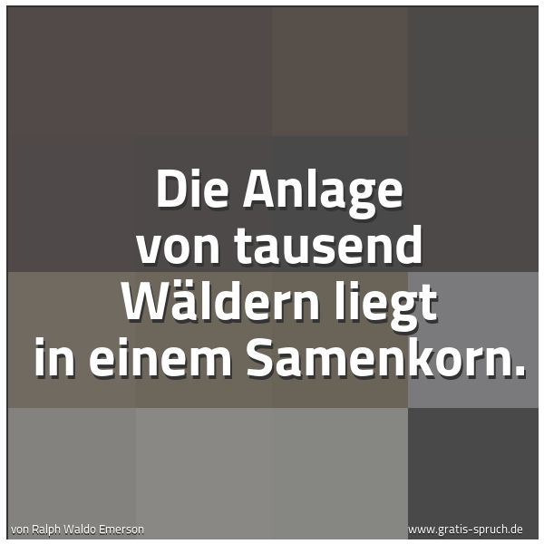 Quadratisches Spruchbild: Die Anlage von tausend Wäldern liegt in einem Samenkorn.