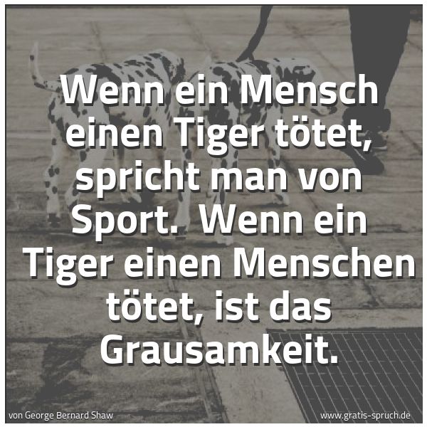 Quadratisches Spruchbild: Wenn ein Mensch einen Tiger tötet, spricht man von Sport. Wenn ein Tiger einen Menschen t …