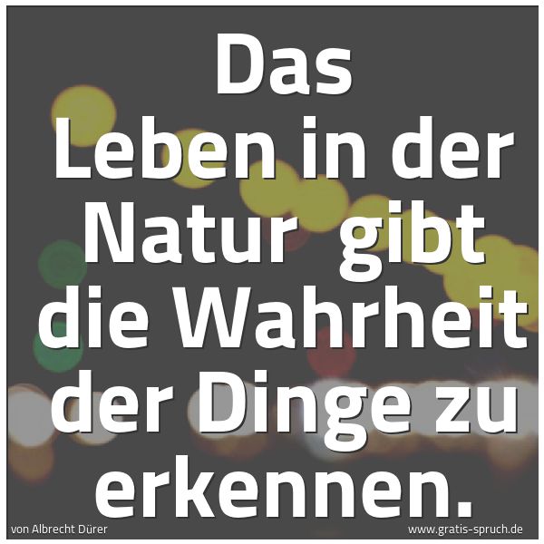 Quadratisches Spruchbild: Das Leben in der Natur gibt die Wahrheit der Dinge zu erkennen.