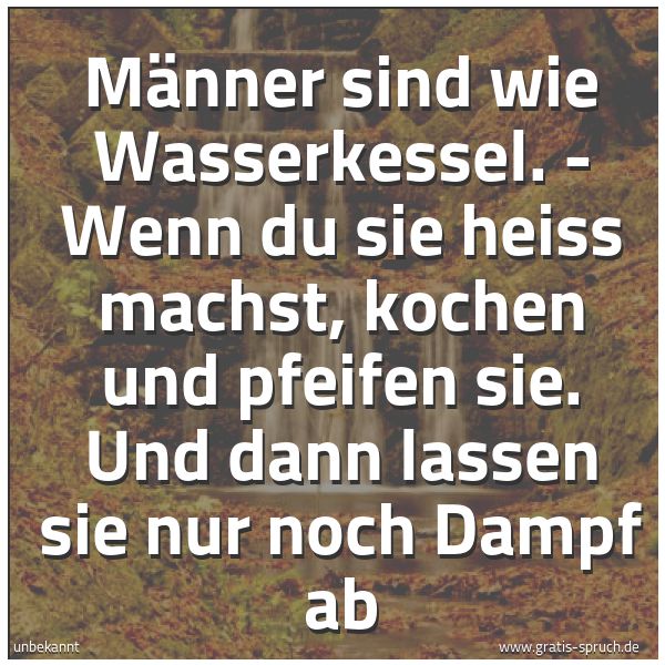 Quadratisches Spruchbild: Männer sind wie Wasserkessel. - Wenn du sie heiß machst, kochen und pfeifen sie. Und dann  …