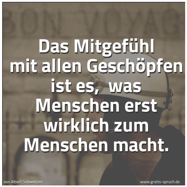 Quadratisches Spruchbild: Das Mitgefühl mit allen Geschöpfen ist es, was Menschen erst wirklich zum Menschen macht.
