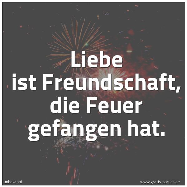 Quadratisches Spruchbild: Liebe ist Freundschaft, die Feuer gefangen hat.