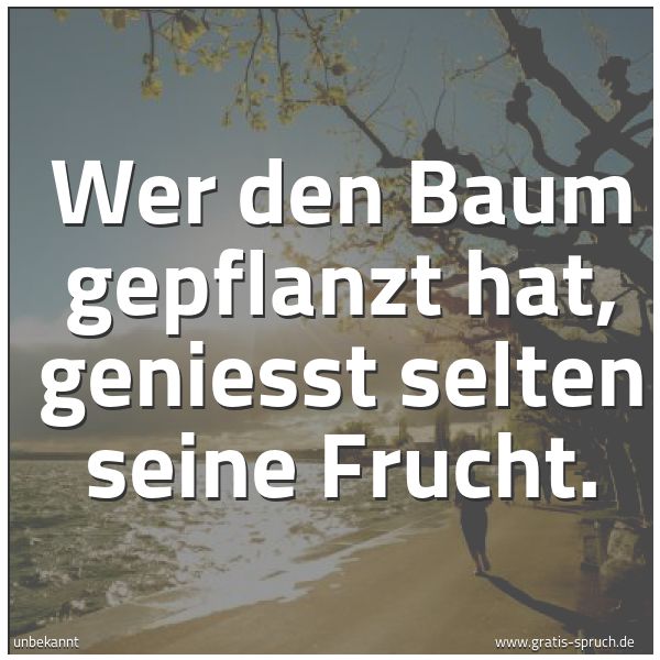 Quadratisches Spruchbild: Wer den Baum gepflanzt hat, geniesst selten seine Frucht.