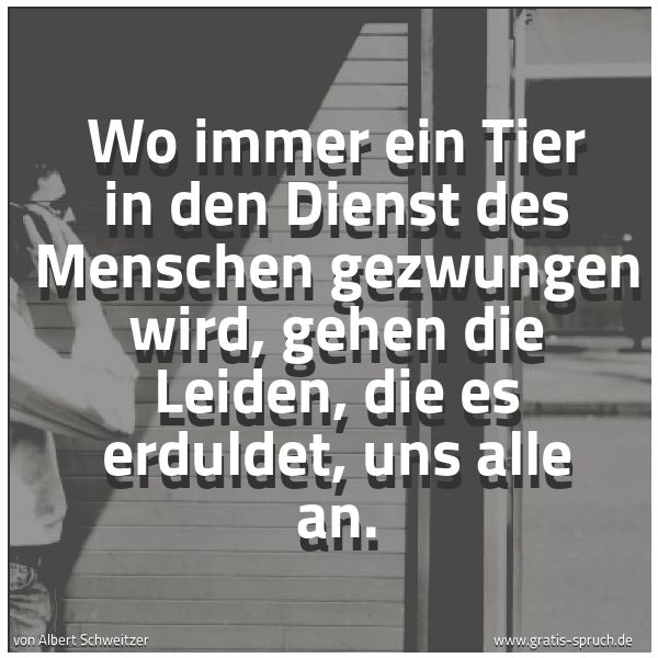 Quadratisches Spruchbild: Wo immer ein Tier in den Dienst des Menschen gezwungen wird, gehen die Leiden, die es erdu …