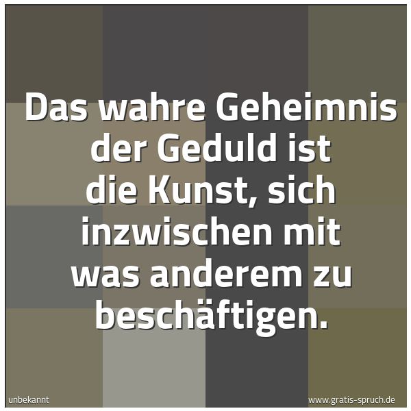 Quadratisches Spruchbild: Das wahre Geheimnis der Geduld ist die Kunst, sich inzwischen mit was anderem zu beschäfti …