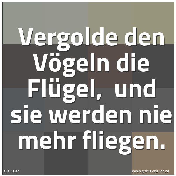 Quadratisches Spruchbild: Vergolde den Vögeln die Flügel, und sie werden nie mehr fliegen.