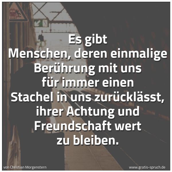 Quadratisches Spruchbild: Es gibt Menschen, deren einmalige Berührung mit uns für immer einen Stachel in uns zurückl …