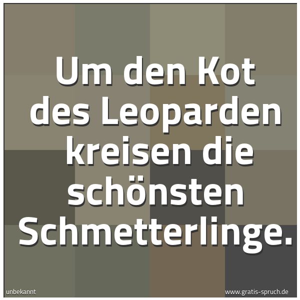 Quadratisches Spruchbild: Um den Kot des Leoparden kreisen die schönsten Schmetterlinge.