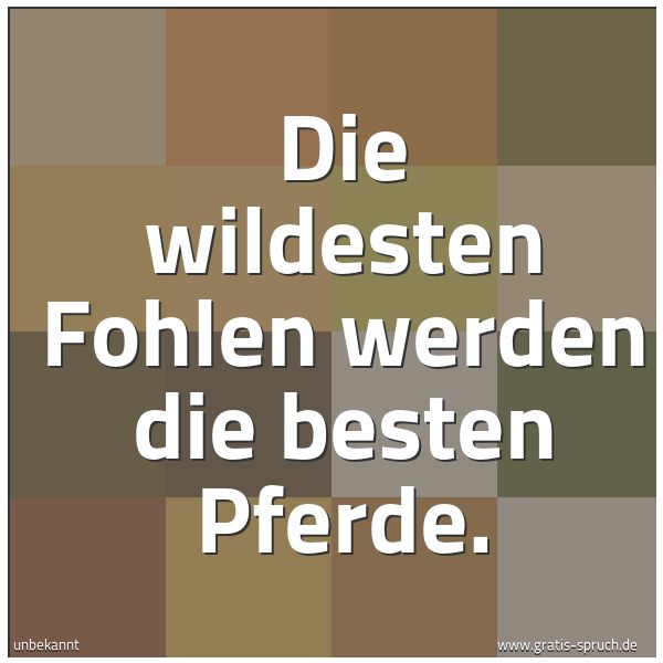 Quadratisches Spruchbild: Die wildesten Fohlen werden die besten Pferde.