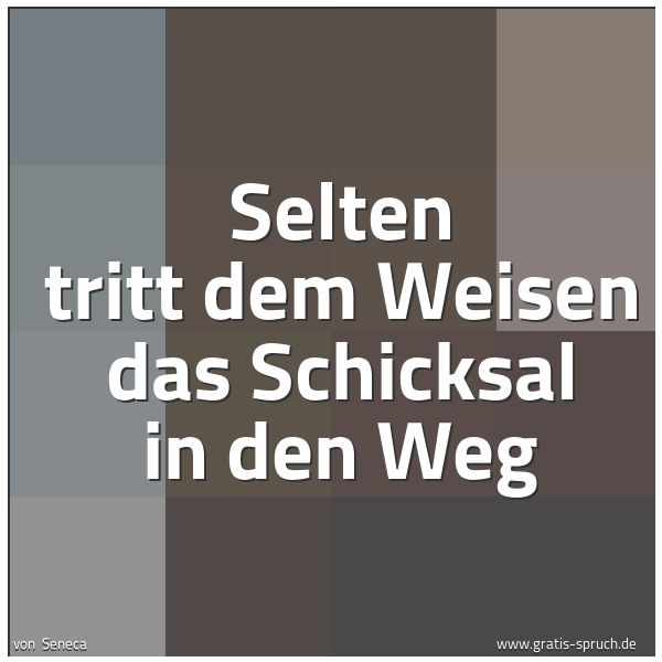 Quadratisches Spruchbild: Selten tritt dem Weisen das Schicksal in den Weg