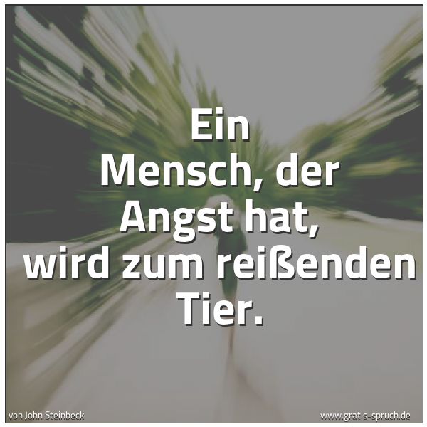 Quadratisches Spruchbild: Ein Mensch, der Angst hat, wird zum reißenden Tier.