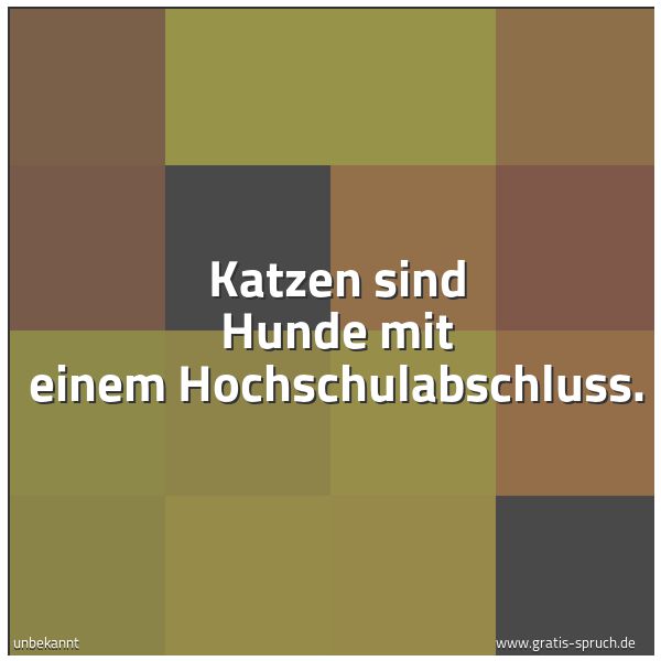 Quadratisches Spruchbild: Katzen sind Hunde mit einem Hochschulabschluss.