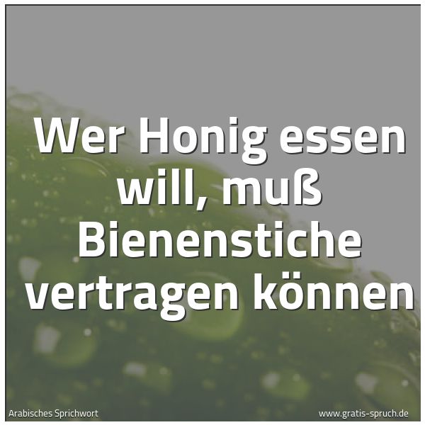 Quadratisches Spruchbild: Wer Honig essen will, muß Bienenstiche vertragen können