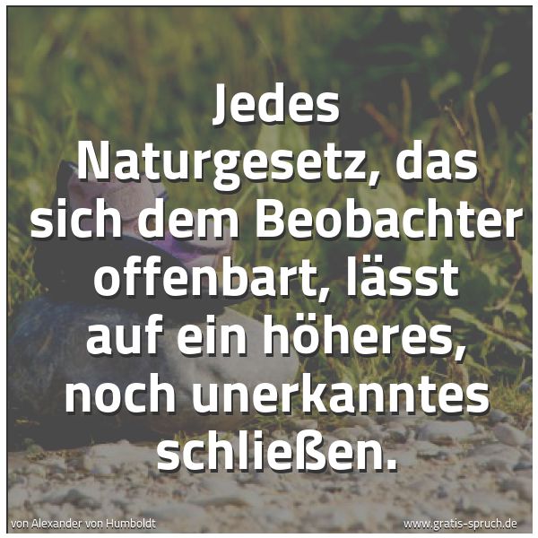 Quadratisches Spruchbild: Jedes Naturgesetz, das sich dem Beobachter offenbart, lässt auf ein höheres, noch unerkann …