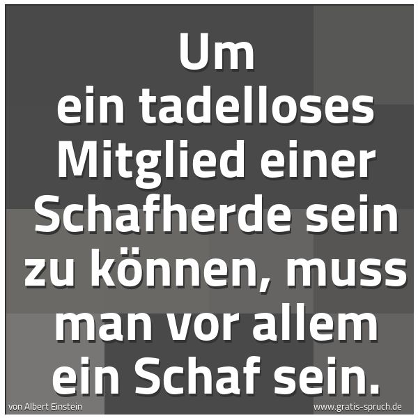 Quadratisches Spruchbild: Um ein tadelloses Mitglied einer Schafherde sein zu können, muss man vor allem ein Schaf s …