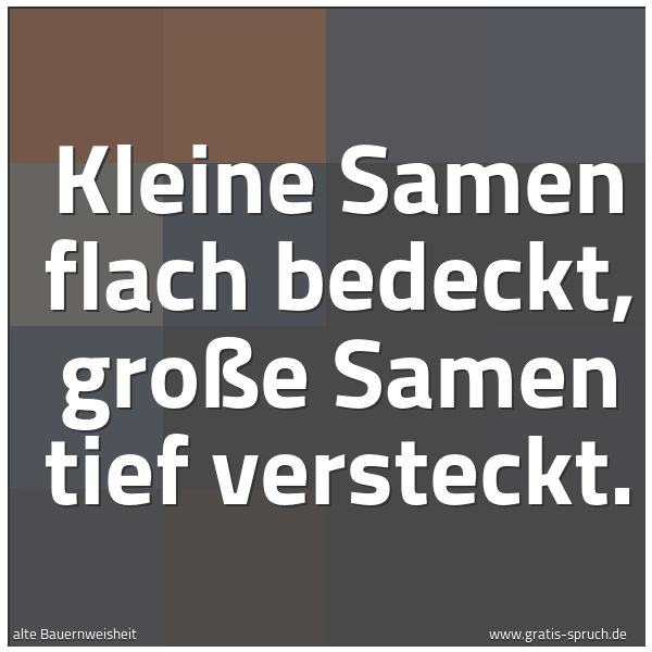 Quadratisches Spruchbild: Kleine Samen flach bedeckt, große Samen tief versteckt.
