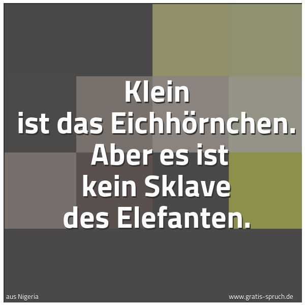 Quadratisches Spruchbild: Klein ist das Eichhörnchen. Aber es ist kein Sklave des Elefanten.