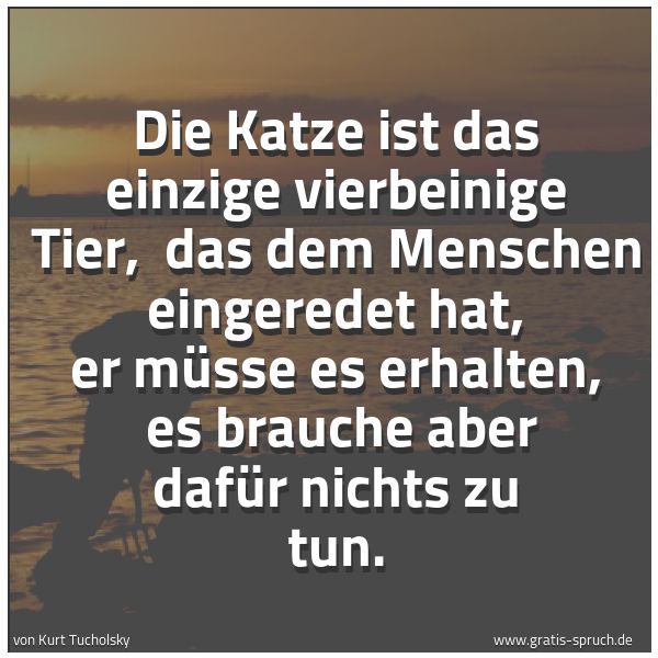 Quadratisches Spruchbild: Die Katze ist das einzige vierbeinige Tier, das dem Menschen eingeredet hat, er müsse es …