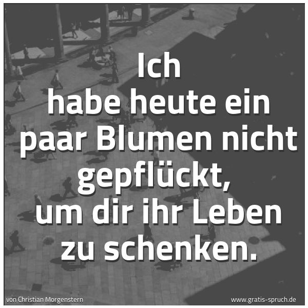 Quadratisches Spruchbild: Ich habe heute ein paar Blumen nicht gepflückt, um dir ihr Leben zu schenken.