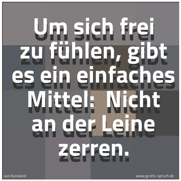 Quadratisches Spruchbild: Um sich frei zu fühlen, gibt es ein einfaches Mittel: Nicht an der Leine zerren.