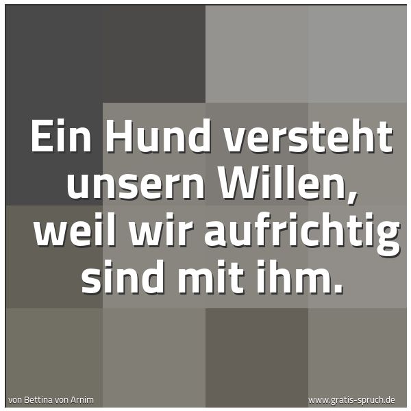 Quadratisches Spruchbild: Ein Hund versteht unsern Willen, weil wir aufrichtig sind mit ihm.